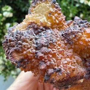 Natural golden cactus quartz crystal cluster